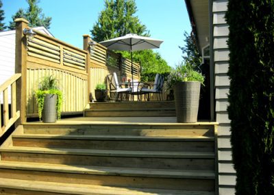 pressure treated 09