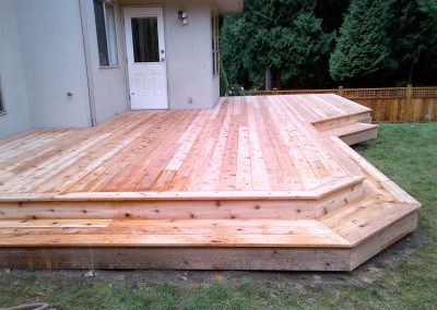 cedar 43