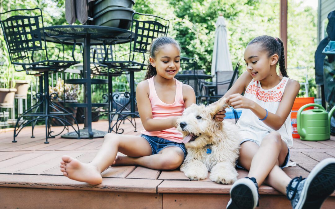 How to Keep Your Deck Safe for Kids and Pets