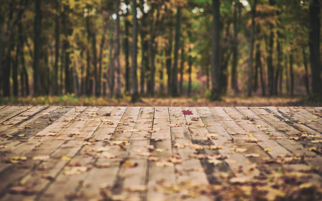 Fall Deck Preparation for the Lower Mainland